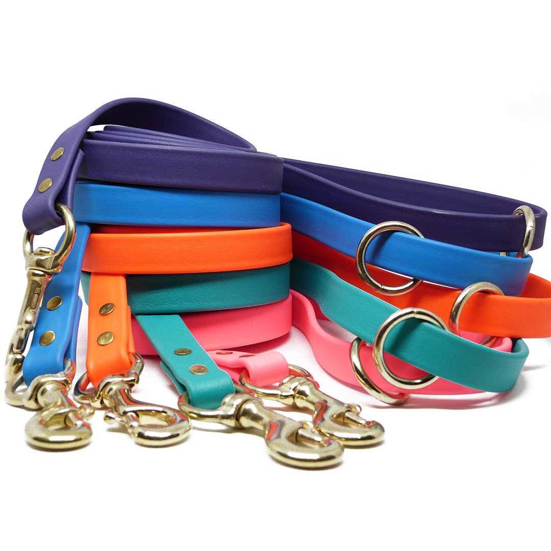 Dog Leash R1200