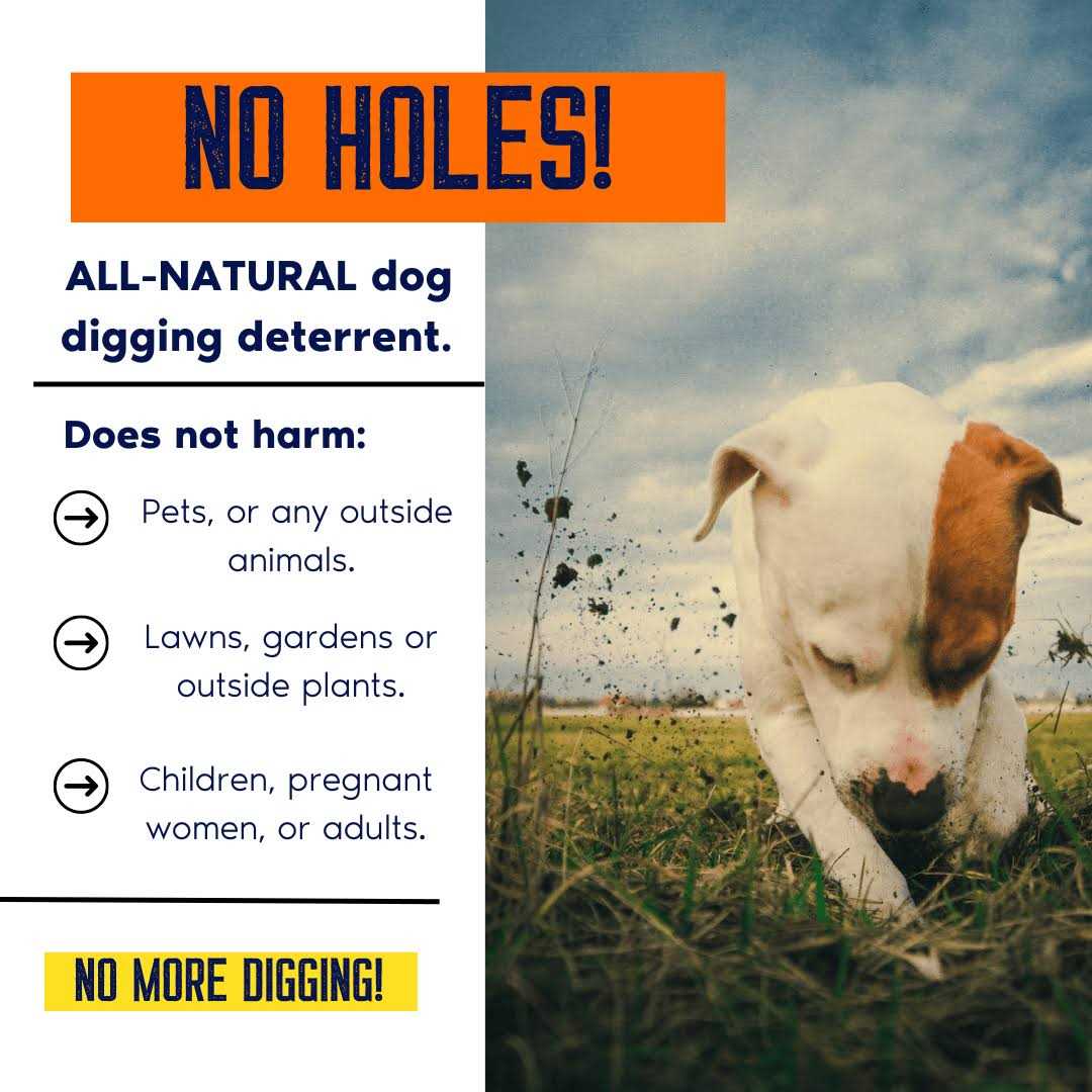 Digging Dog Prevention Spray G7626