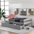 Twin Size Platform Bed with Two Drawers Gray K782549
