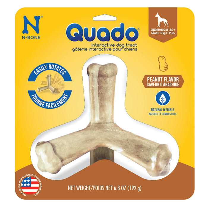 Dog Quado V436556
