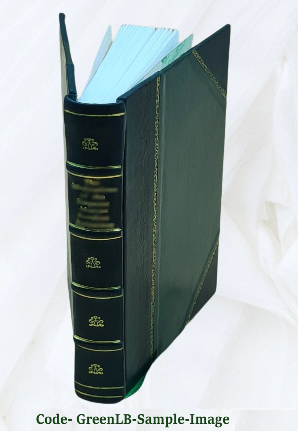 Recollections of a Diplomat 1918 Leather Bound E567917