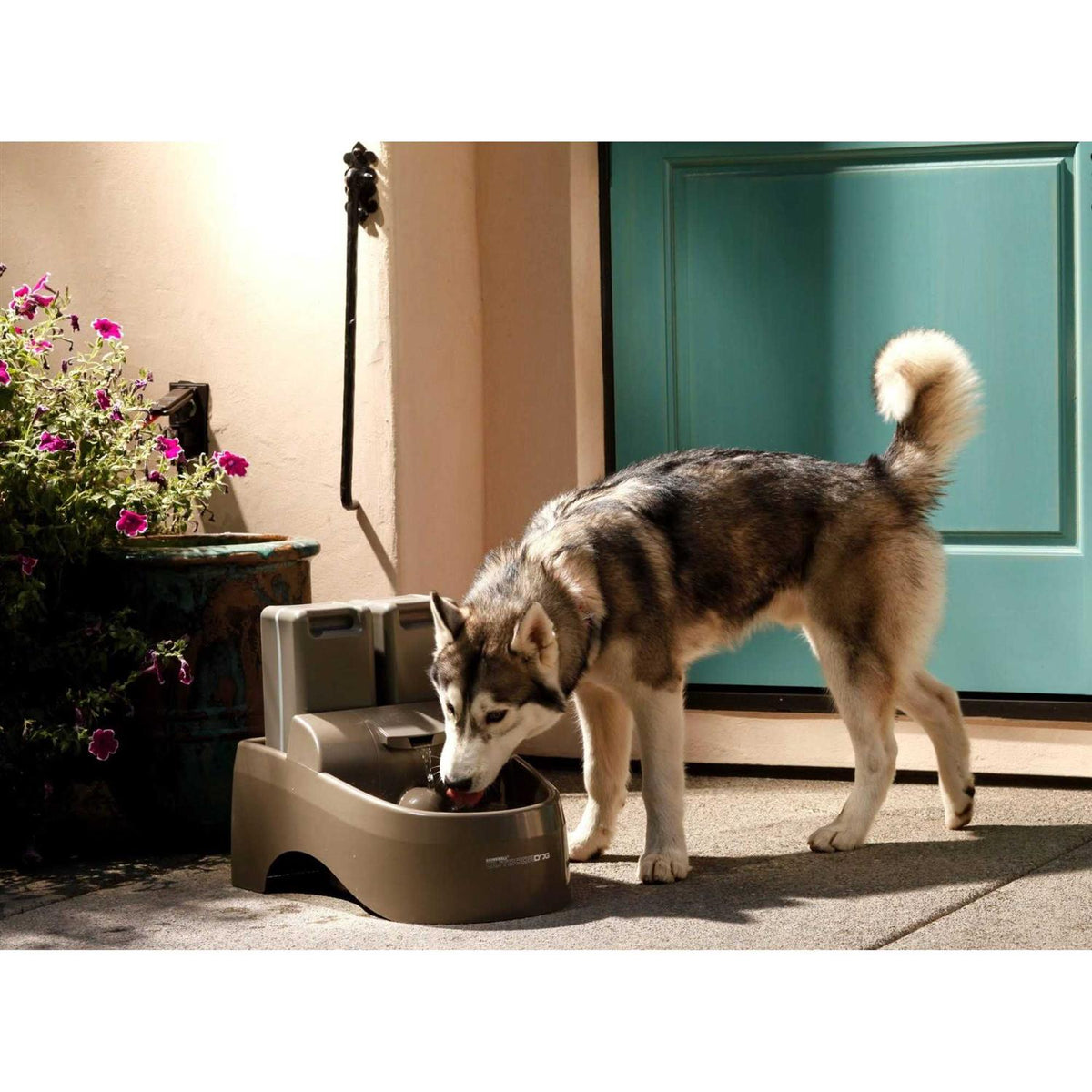 Outdoor Dog Fountain G561