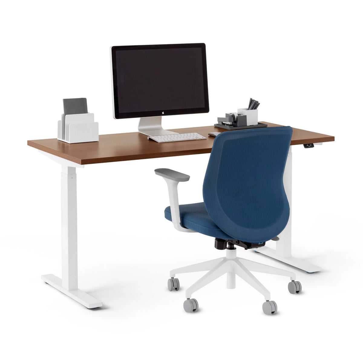 Walnut Adjustable Height Sit-Stand Single Desk N627