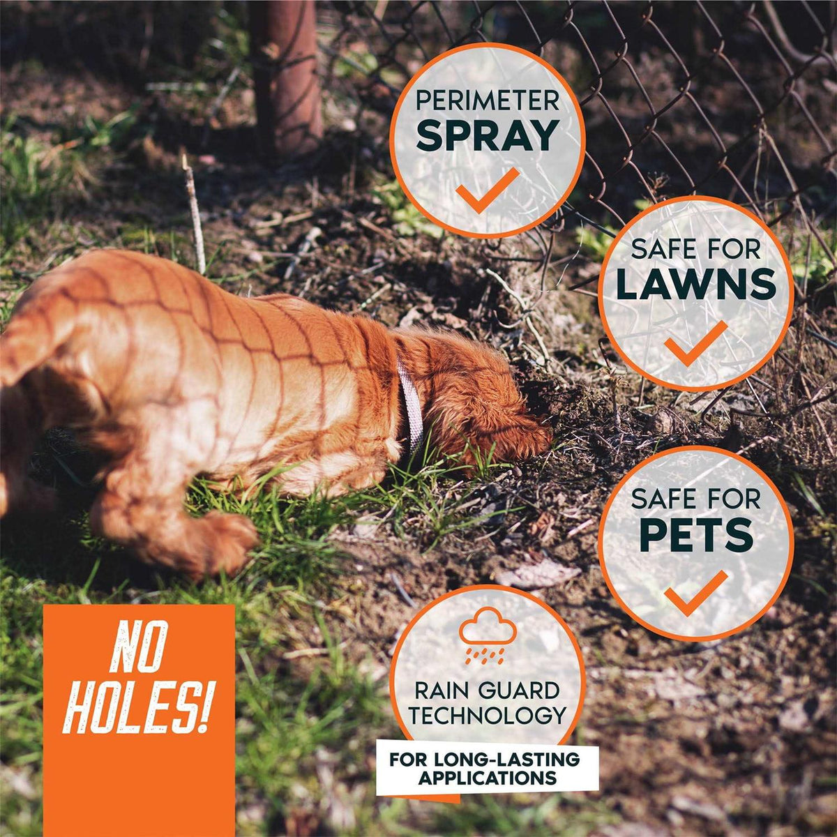 Digging Dog Prevention Spray G7626