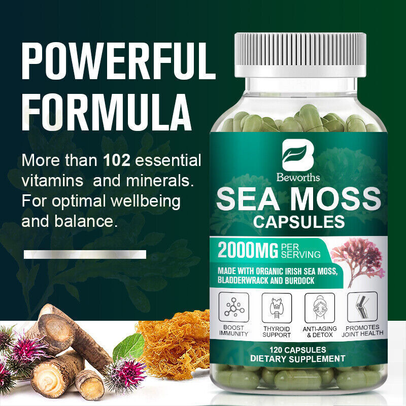 Organic Sea Moss bladder wrack & Burdock Root 120 Capsule L27383