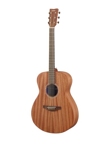 Acoustic Guitar L688