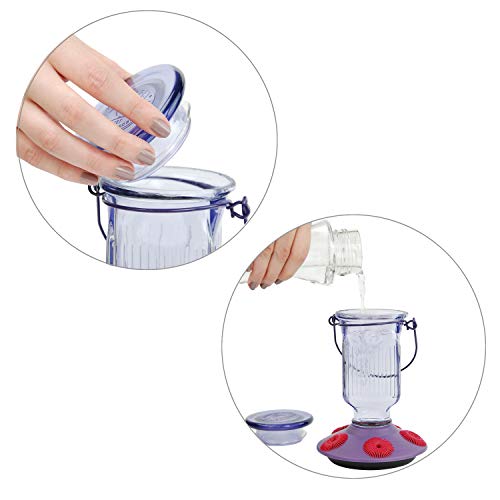 Lavender Field Glass Hummingbird Feeder Purple 16 oz D986874