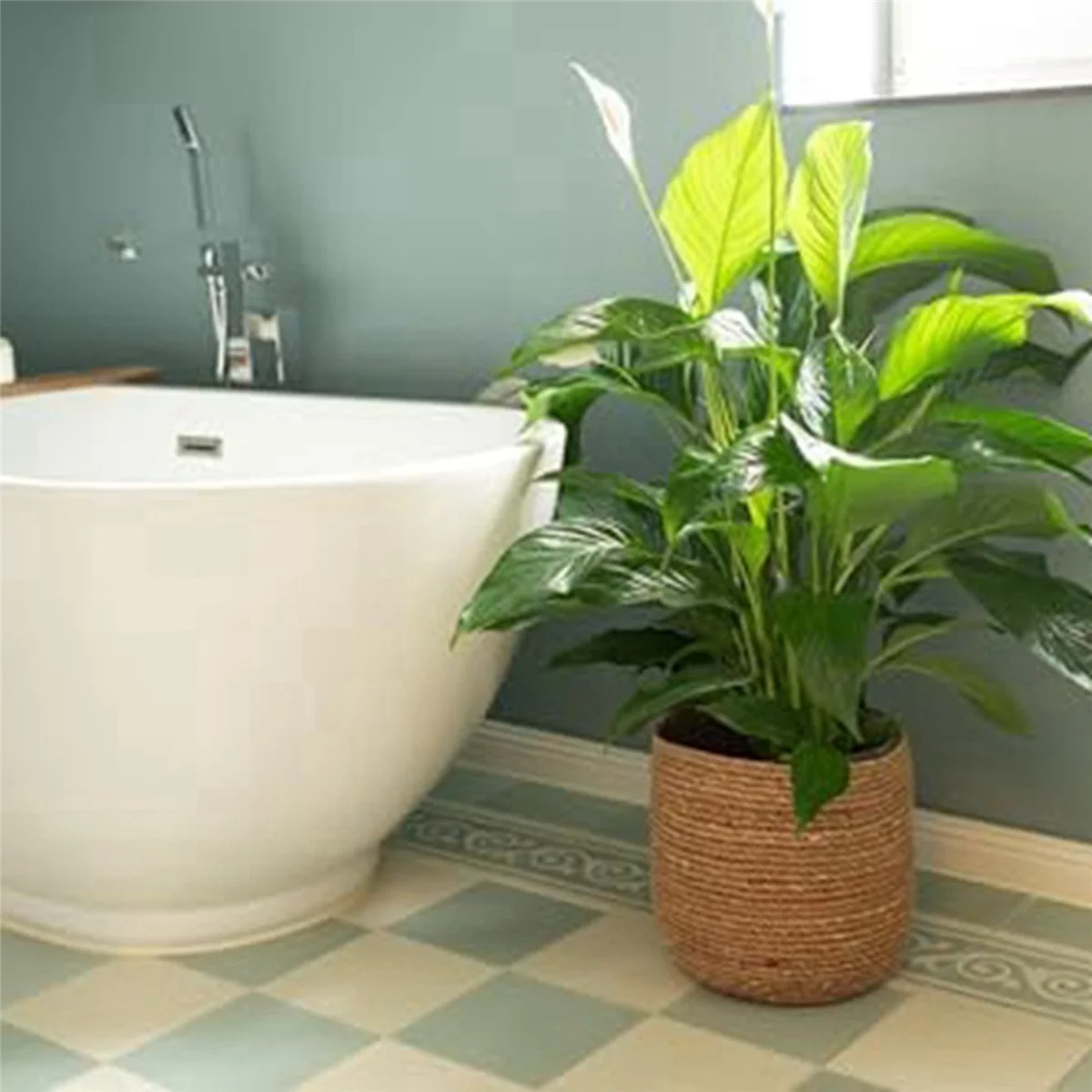 Seagrass Flower Pot - Woven Decorative Basket with Film Insert G604