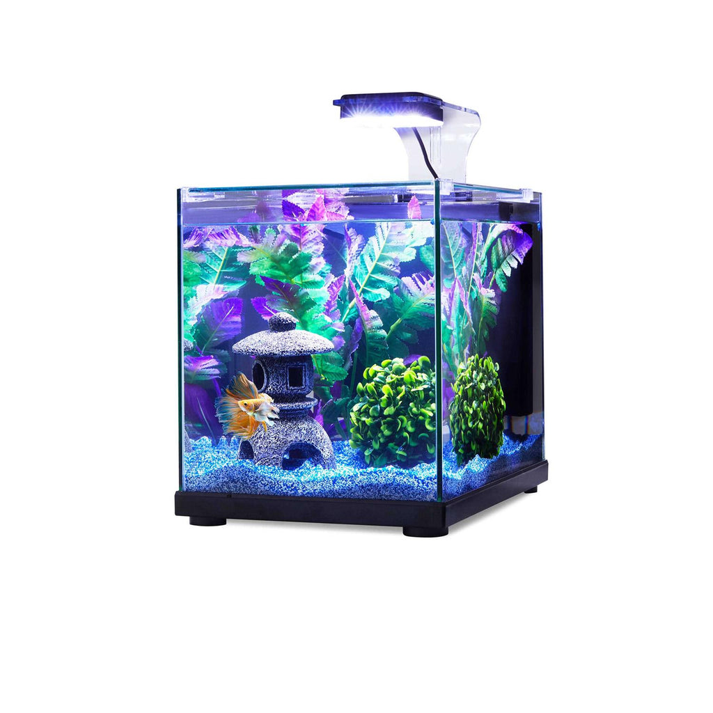 Glass Aquarium H241