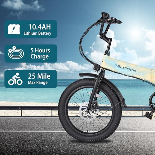 20"×3.0 Fat Tire Folding Electric Bike with 374.4Wh Battery Z865