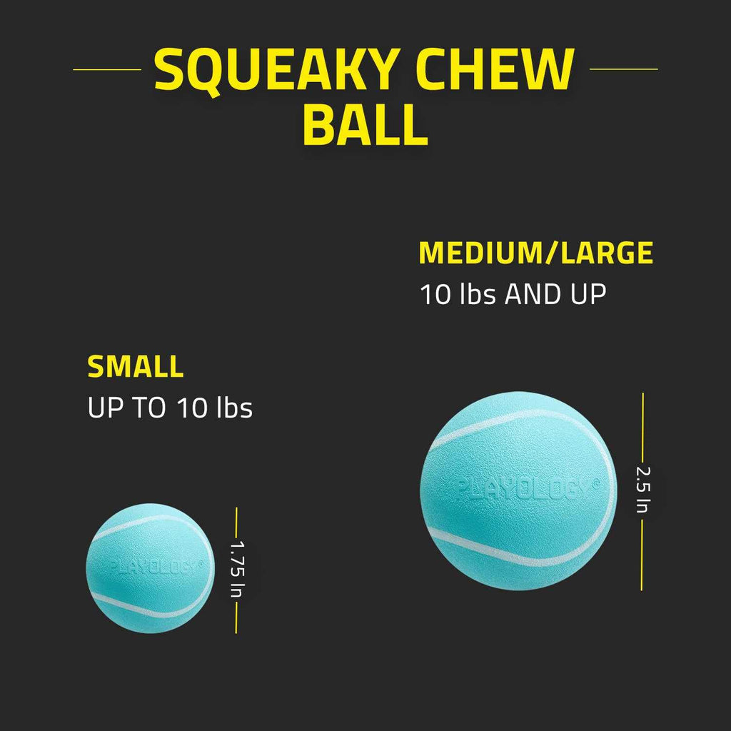 Squeaky Chew Ball Dog Toy U19767