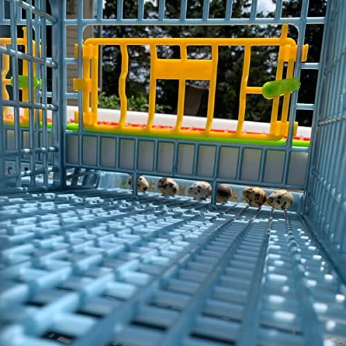 2 Layer ABS Plastic Quail Cage P505544
