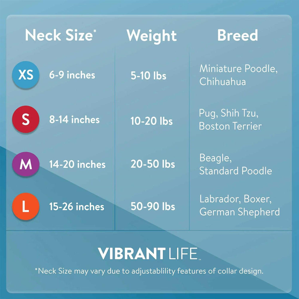 Solid Dog Collar with Metal Buckle I75335