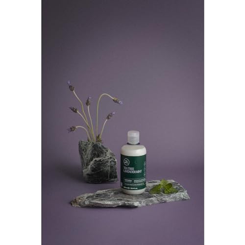 Tea Tree Lavender Mint Moisturizing Conditioner I317
