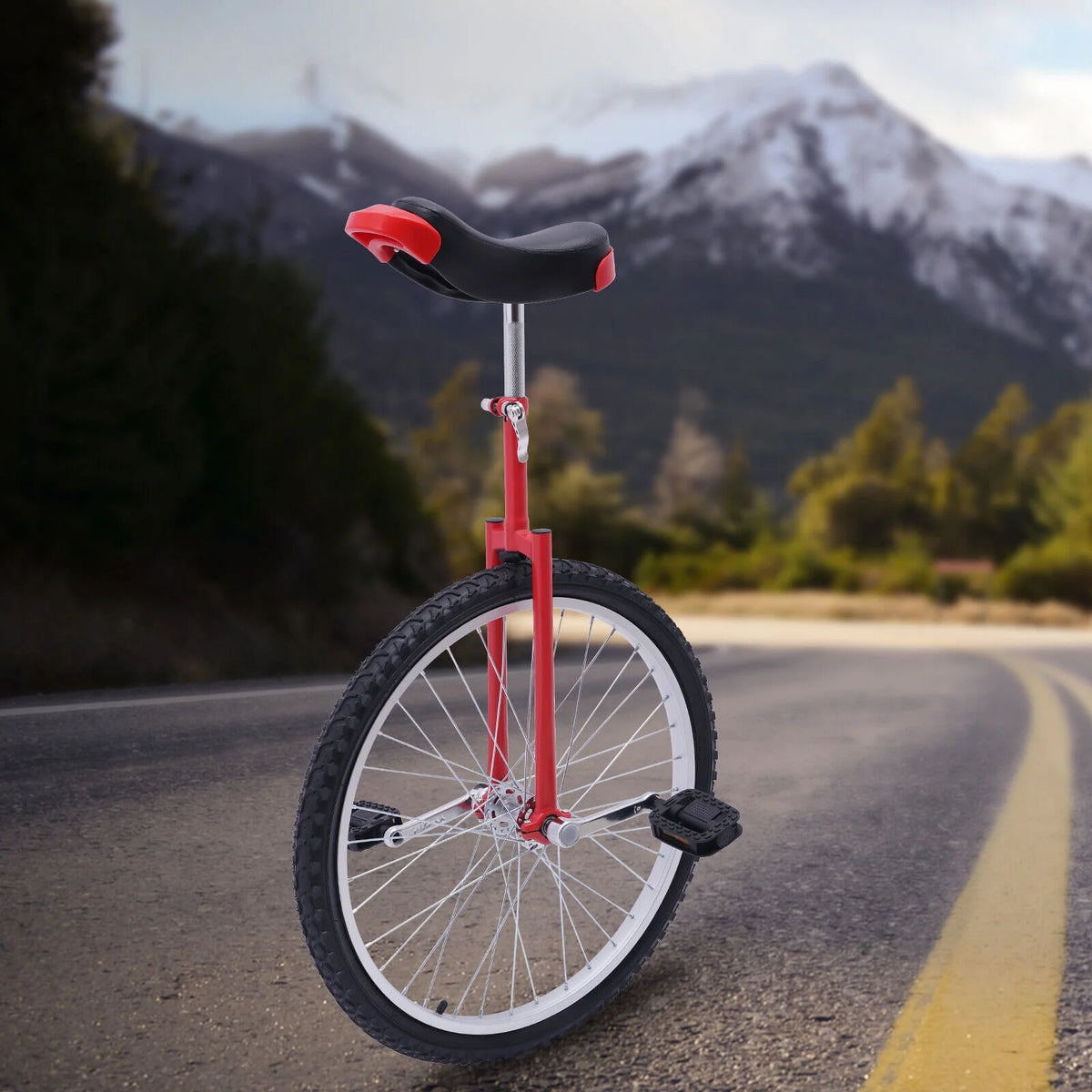 24 Wheel Unicycle Q7560