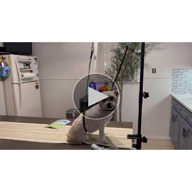 Adjustable Pet Grooming Table Arm with Clamp P108