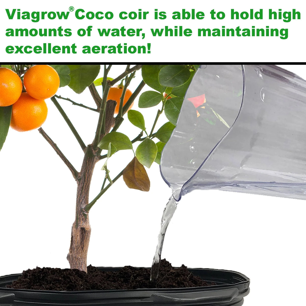 11 lb. Coconut Coir Block Y393940