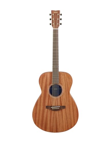 Acoustic Guitar L688