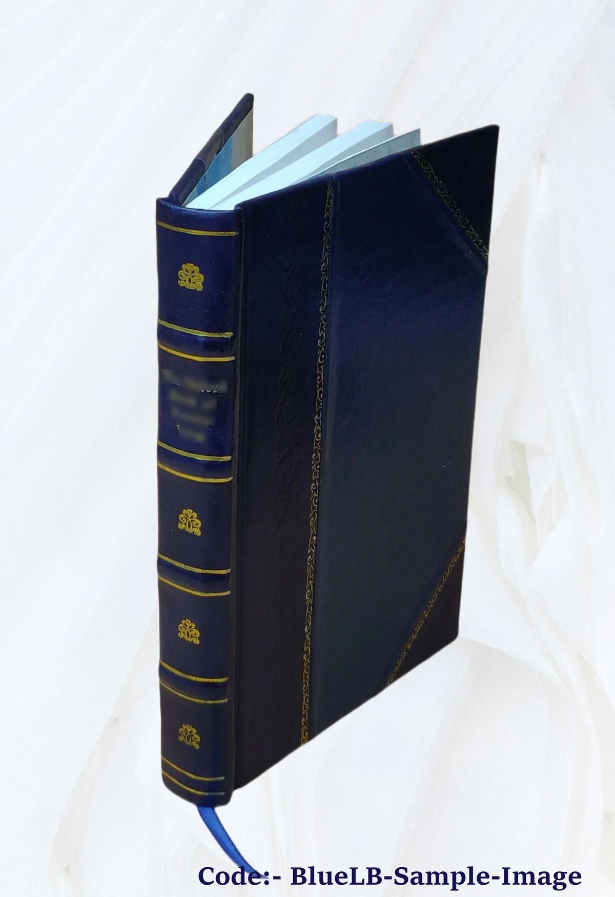 Recollections of a Diplomat 1918 Leather Bound E567917