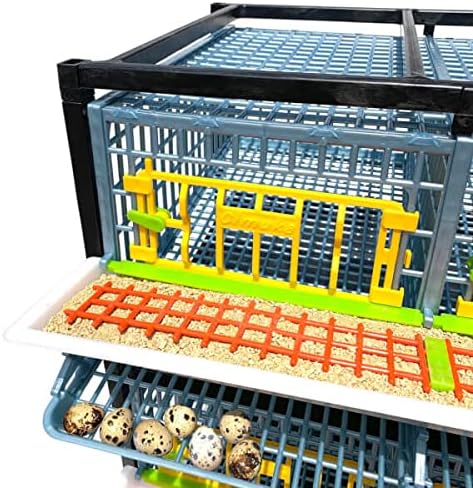 2 Layer ABS Plastic Quail Cage P505544