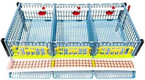 2 Layer ABS Plastic Quail Cage P505544