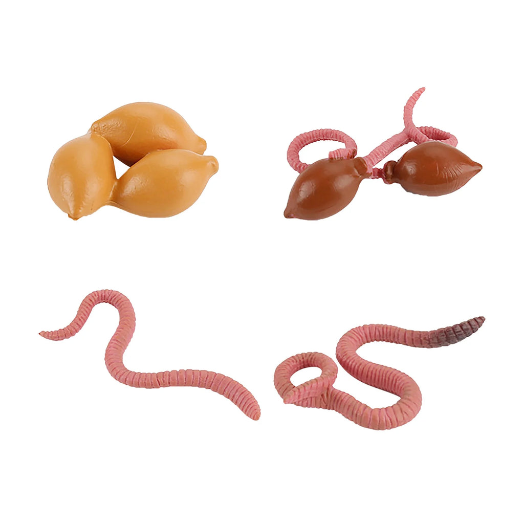 4 Piece Insect Animal Life Cycle Plastic Figures Q142697