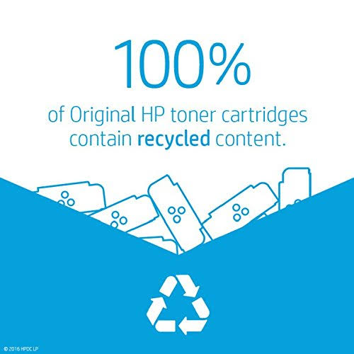 Black LaserJet Toner Cartridge T8205