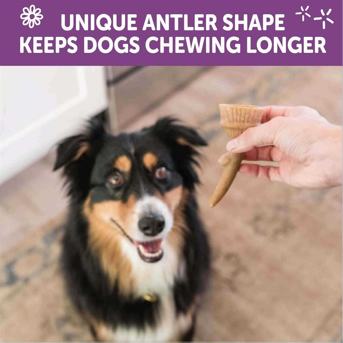 Dog Chews Value Bag D970300