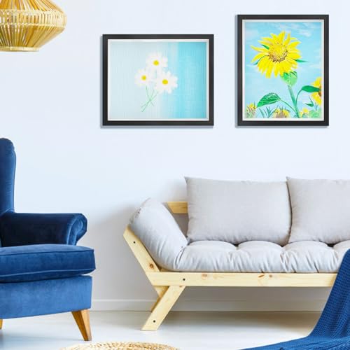 2 Pack 11 x 14in Black Shadow Box Frame with Adhesive Tape S68841