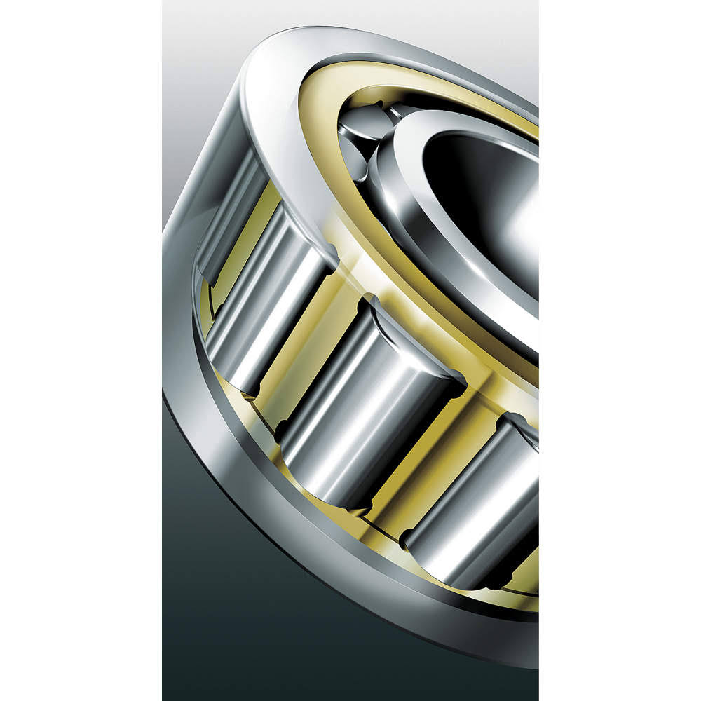 Cylindrical Roller Bearings U4165