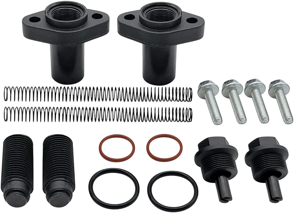 Cam Timing Chain Tensioner Kit Pack of 2 N28589