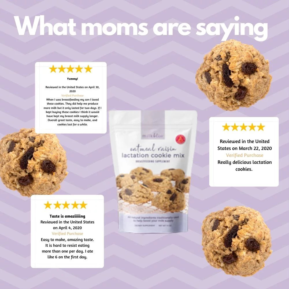 Oatmeal Raisin Soft Baked Lactation Cookie Mix 15oz X252