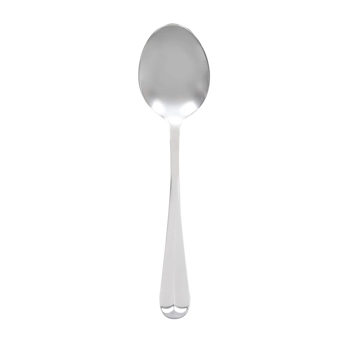 Stainless Serving Spoon 1 Dozen M499
