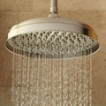 Brushed Nickel Single Function Rain Shower Head G881331