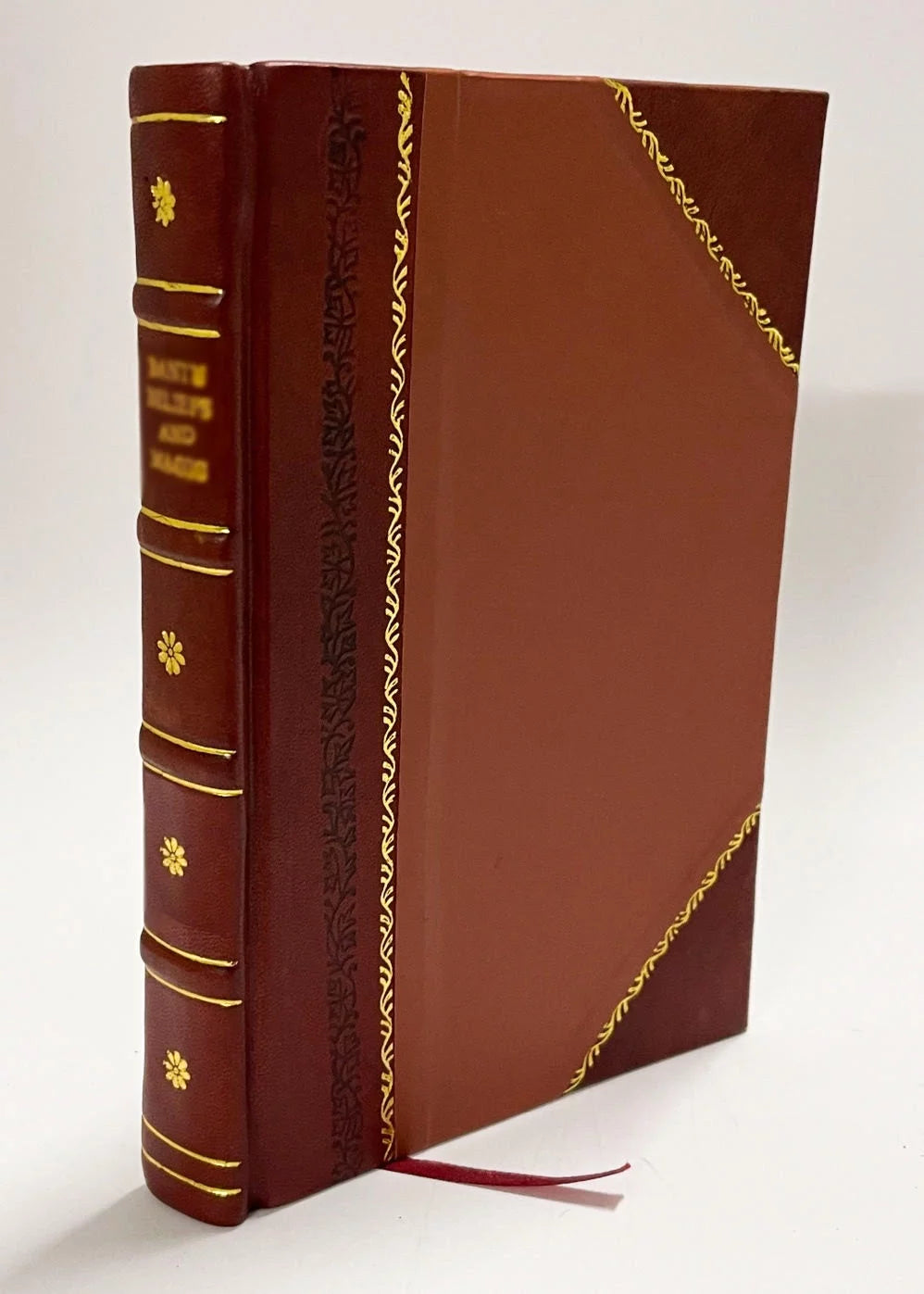 Latin Thesaurus Book Leather Bound A235