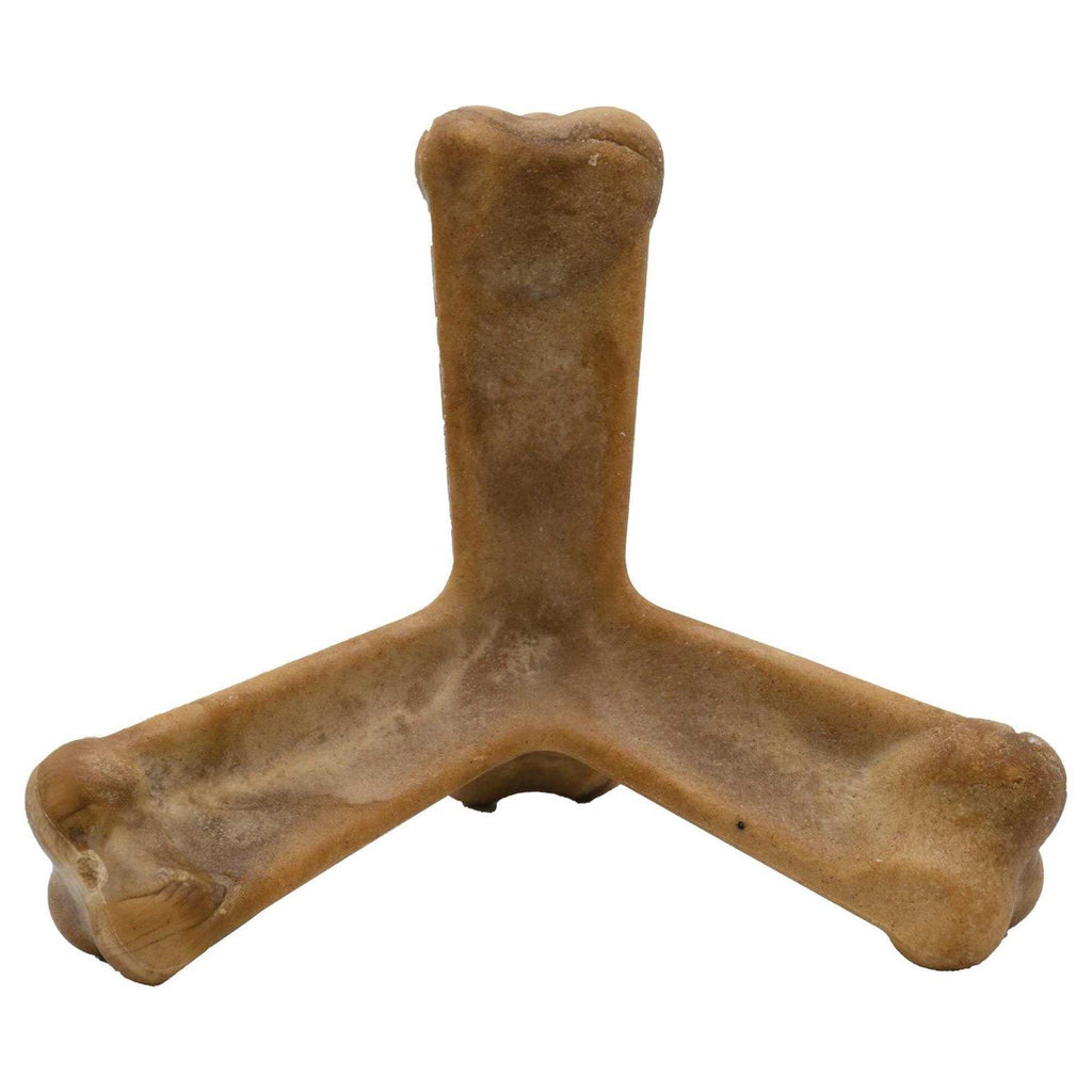 Dog Quado V436556