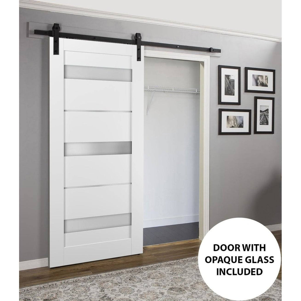Sliding Barn Door Hardware with Frosted Opaque Glass X4884