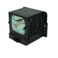 Replacement Lamp & Housing F6006