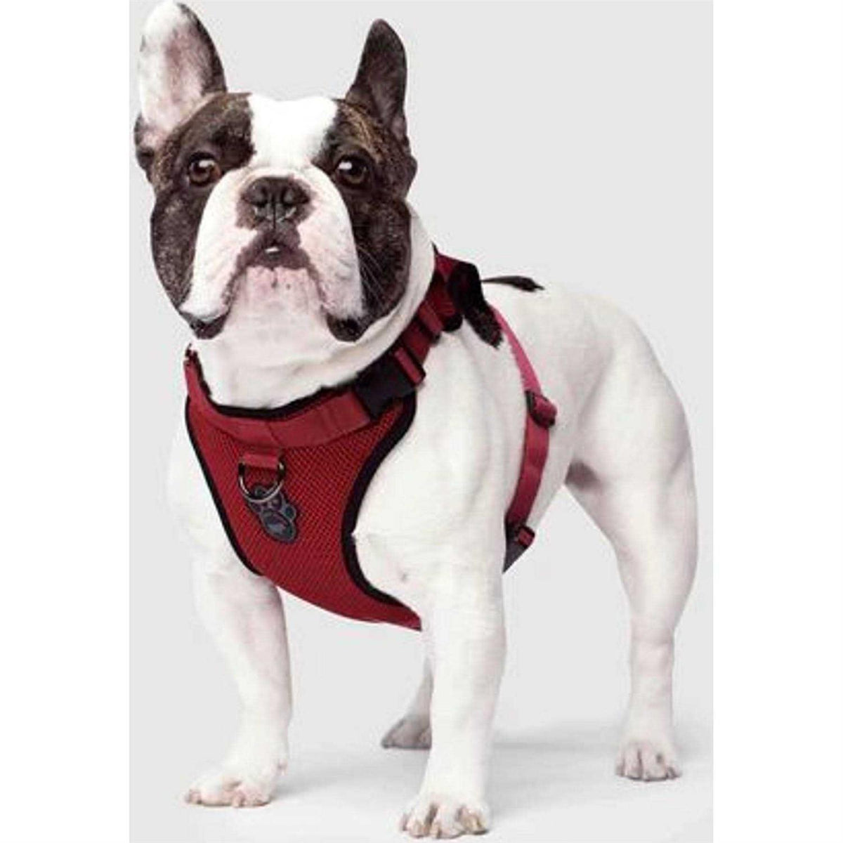 Dog Harness E90948