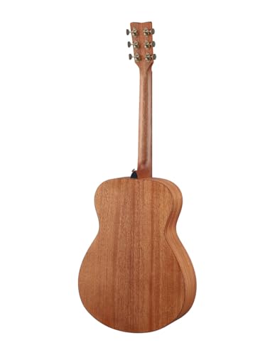 Acoustic Guitar L688