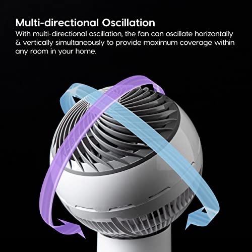 Large Oscillating 8-in-1 Fan with Remote and Timer Q438397