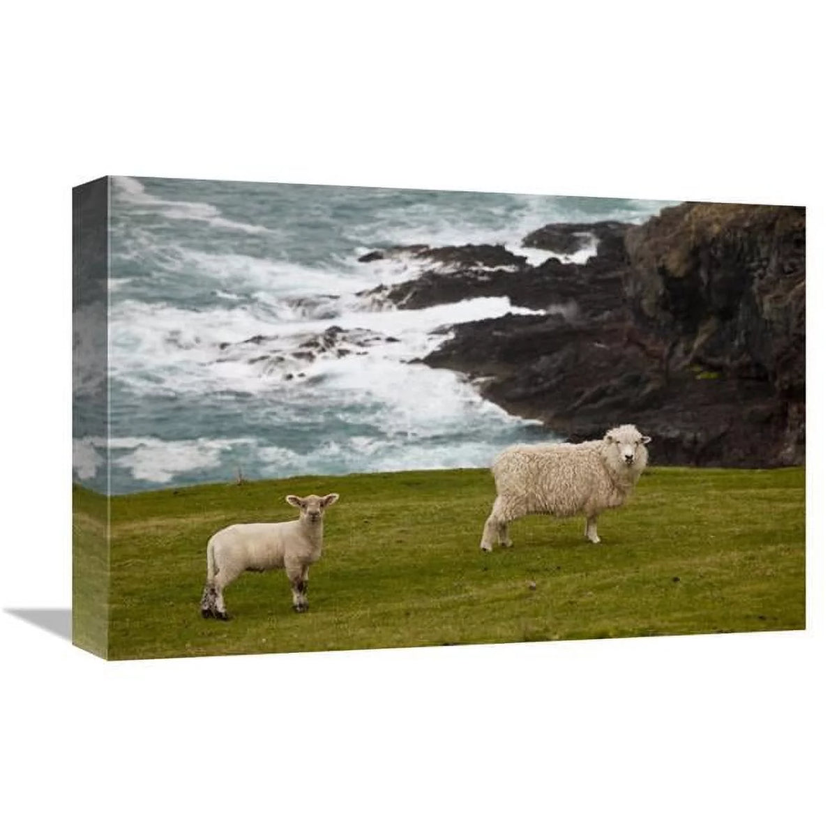12 x 18 in. Art Print H150
