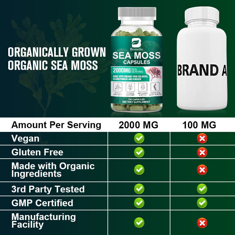 Organic Sea Moss bladder wrack & Burdock Root 120 Capsule L27383