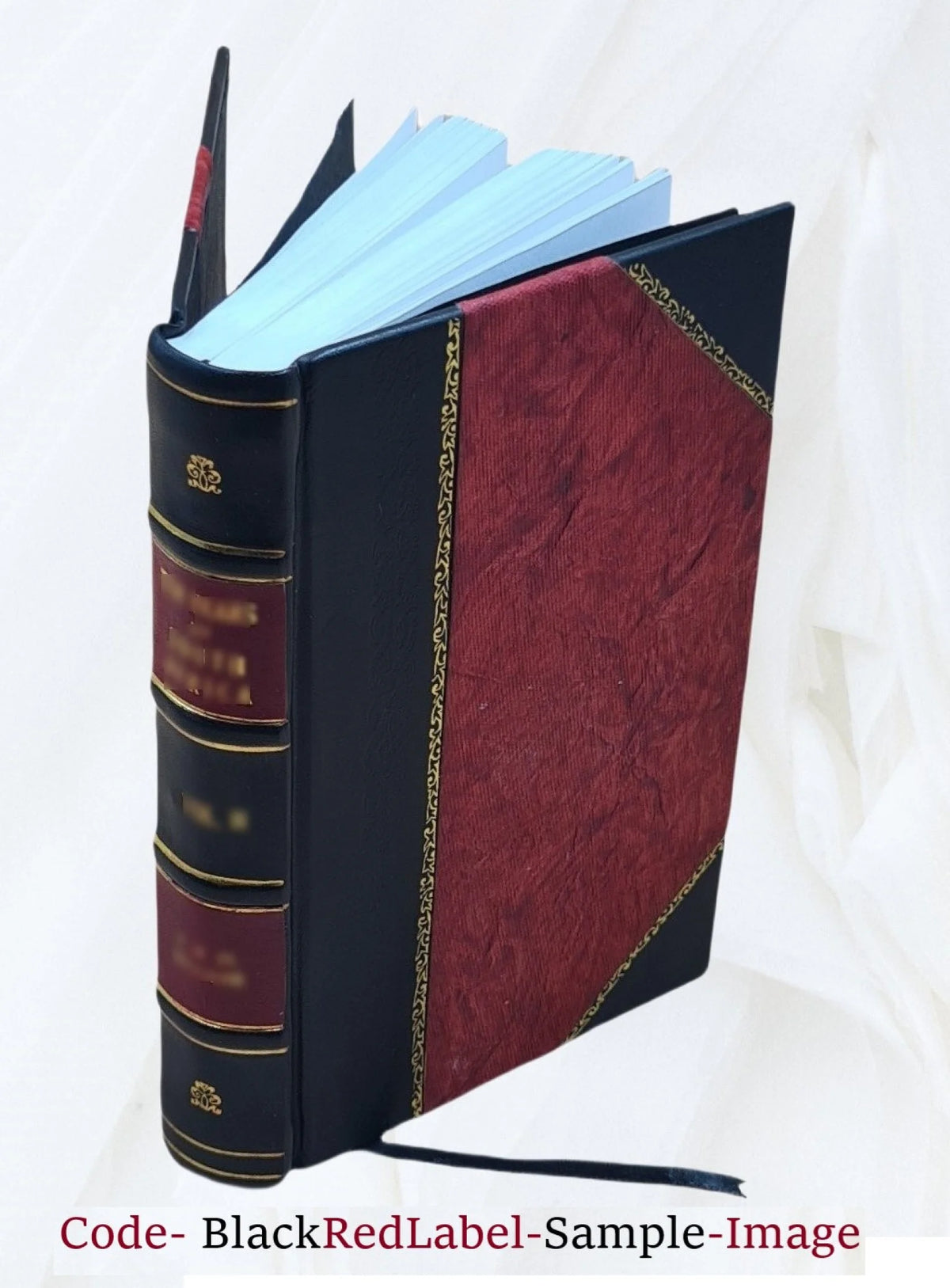 Recollections of a Diplomat 1918 Leather Bound E567917