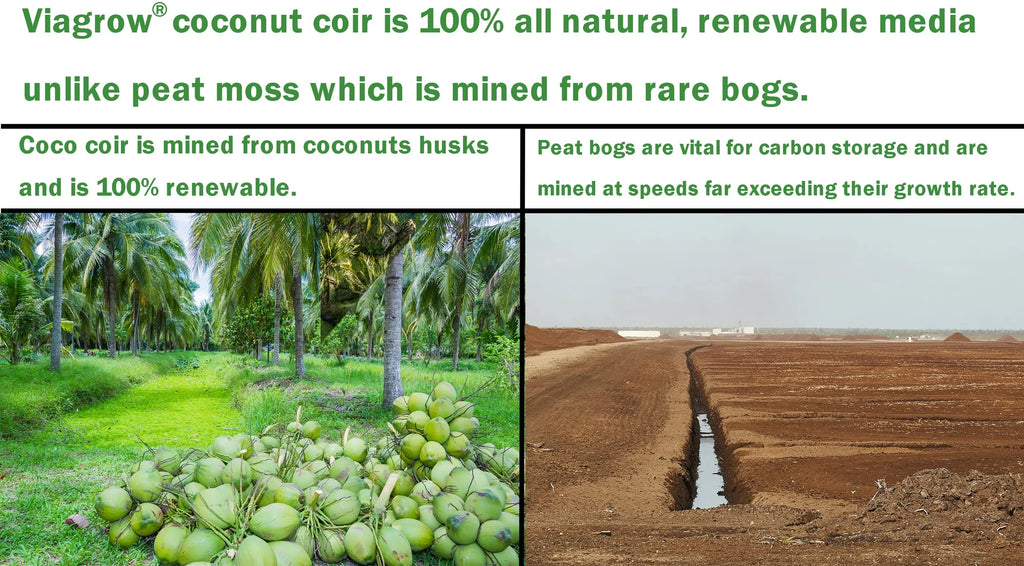 11 lb. Coconut Coir Block Y393940